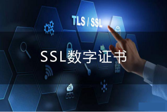 SSL證書206.png