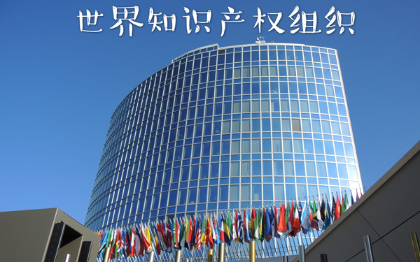 常見的域名爭議解決機構(gòu)有哪些?