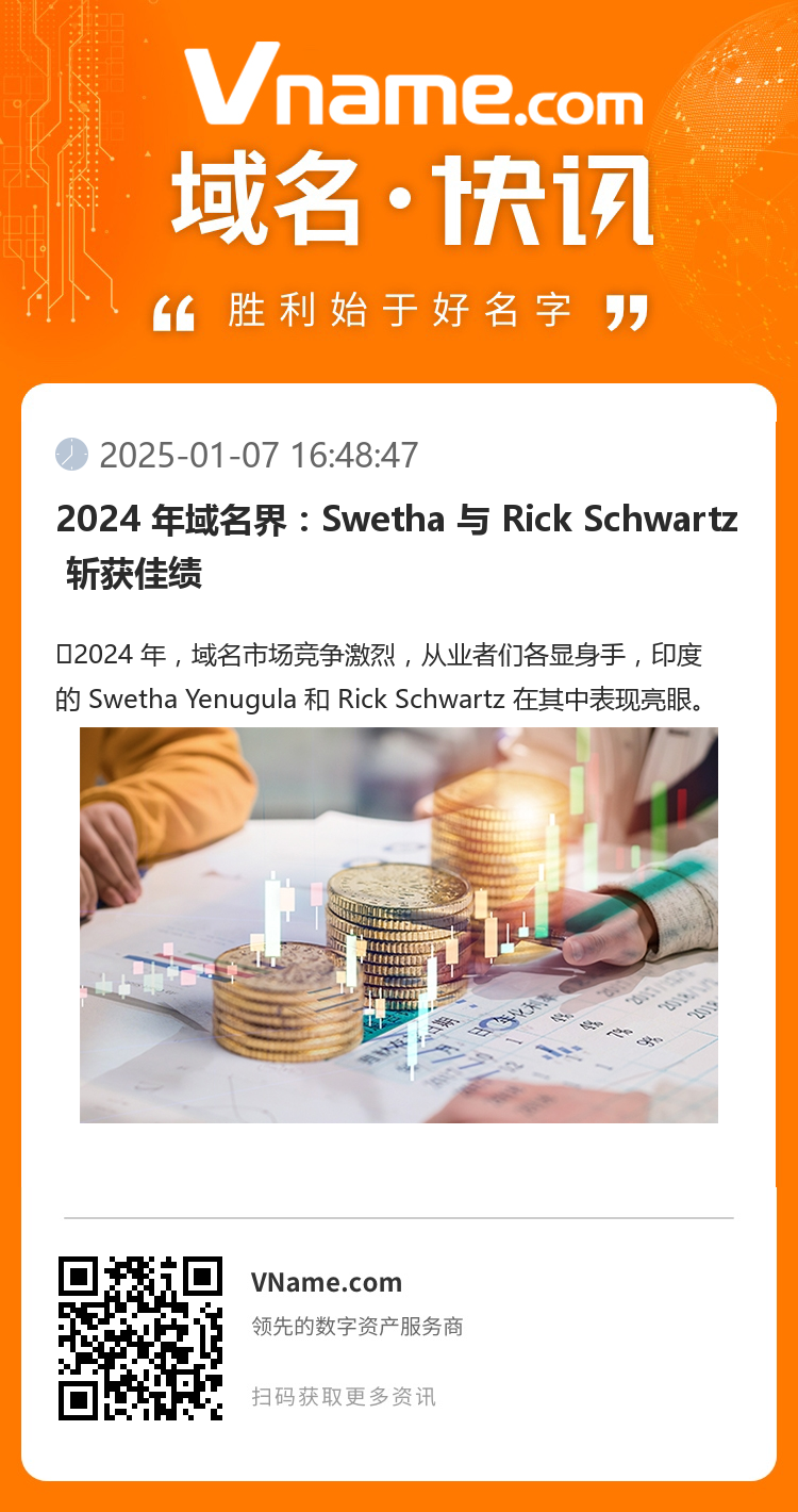 2024 年域名界：Swetha 與 Rick Schwartz 斬獲佳績